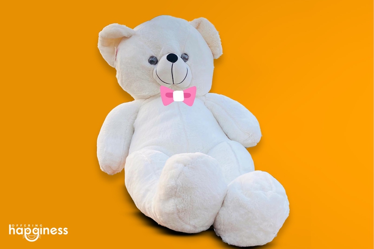 Cute Teddy White