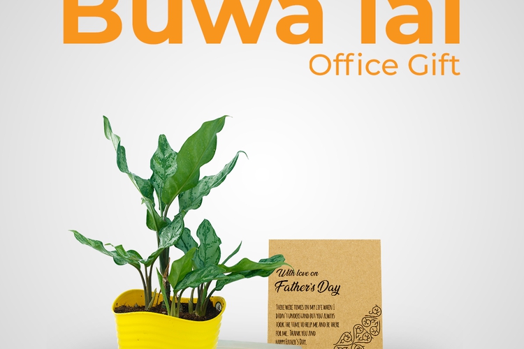 Buwa lai Office Gift