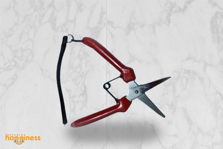 Pruning Scissors