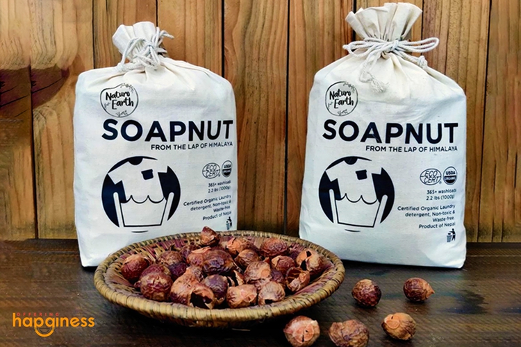 Soap Nuts