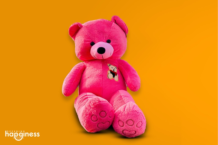 My Love Teddy