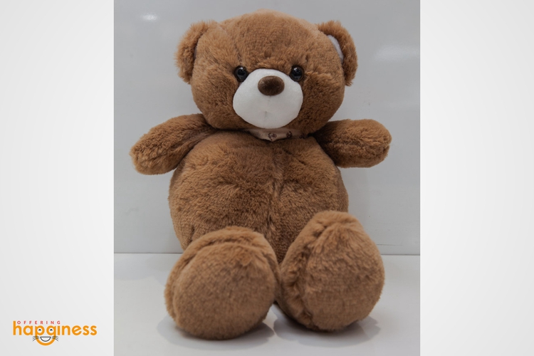 Teddy Bear