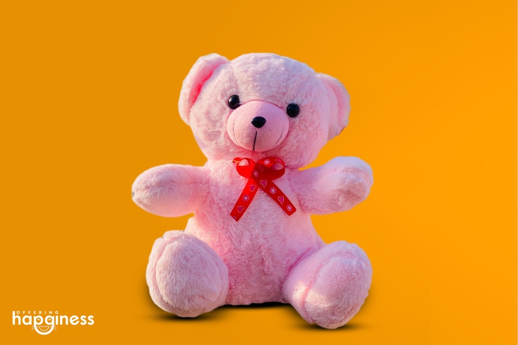 Pink Cute Teddy