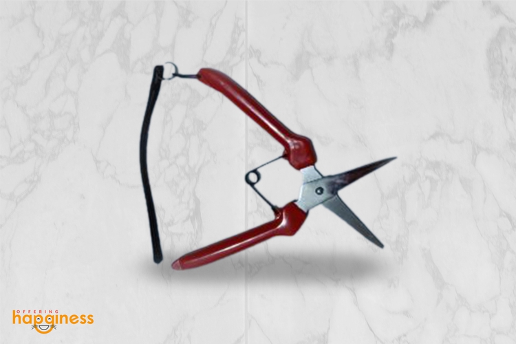 Thinning Scissors