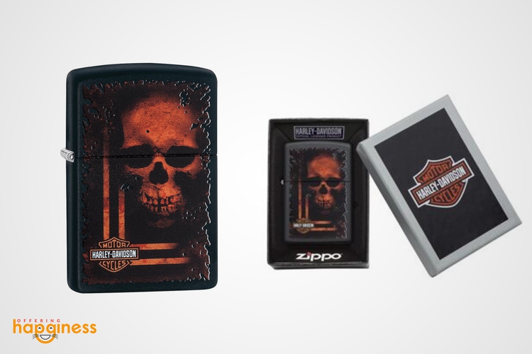 Harley-Davidson® 2