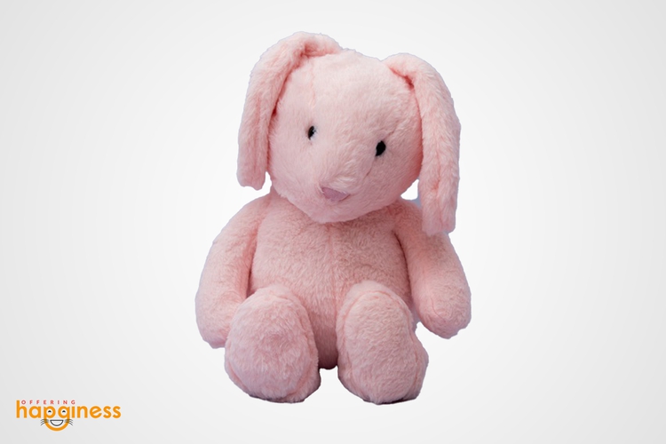 Pink Rabbit
