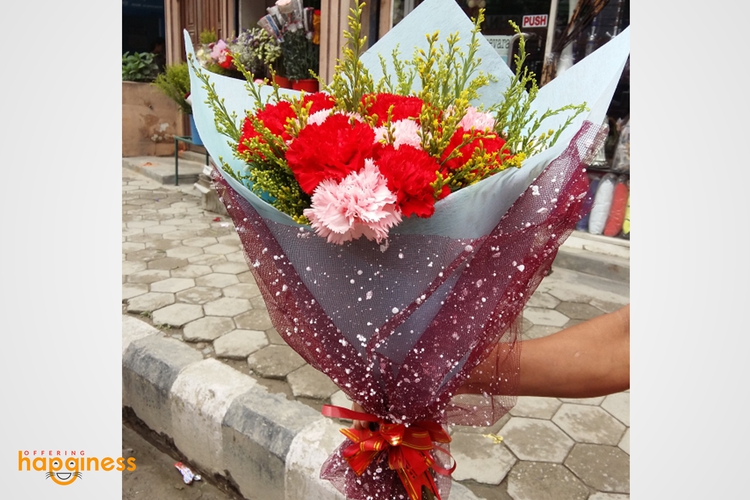 Mixed carnation with gypsy