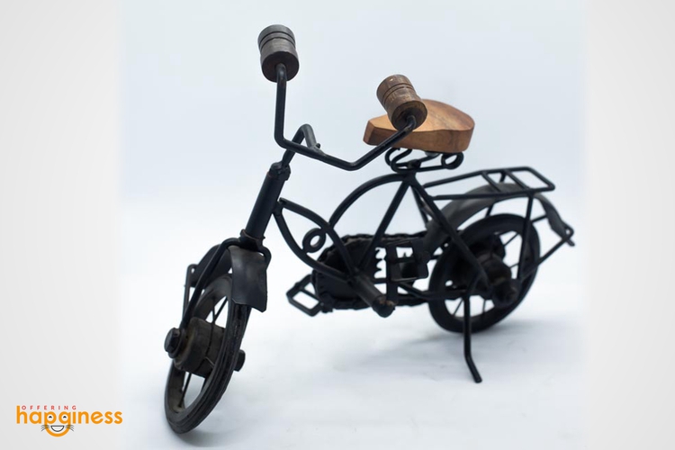 Bicycle Showpiece