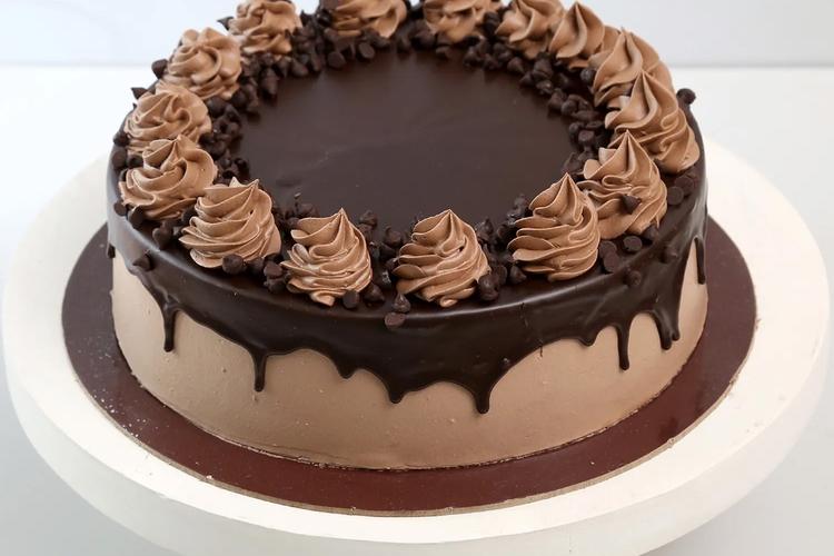 Chocolate Cream Cake