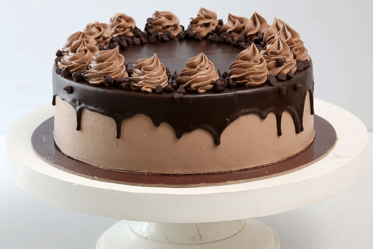 Chocolate Cream Cake