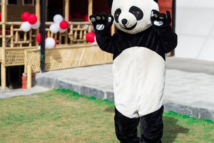 Dancing Panda