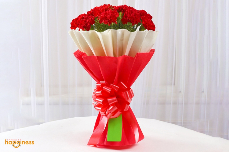 My Pure Love And Good Luck Carnation