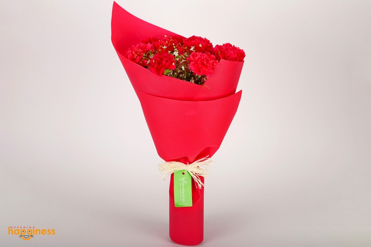 Cone Of Carnation