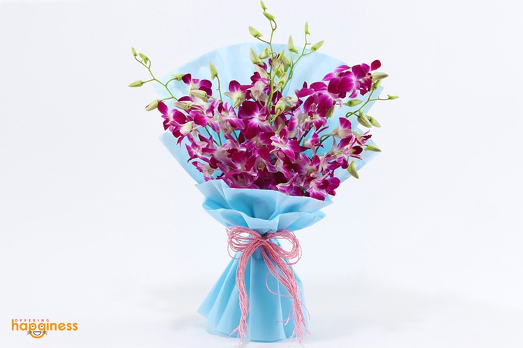 When Love Goes Blue With Orchid