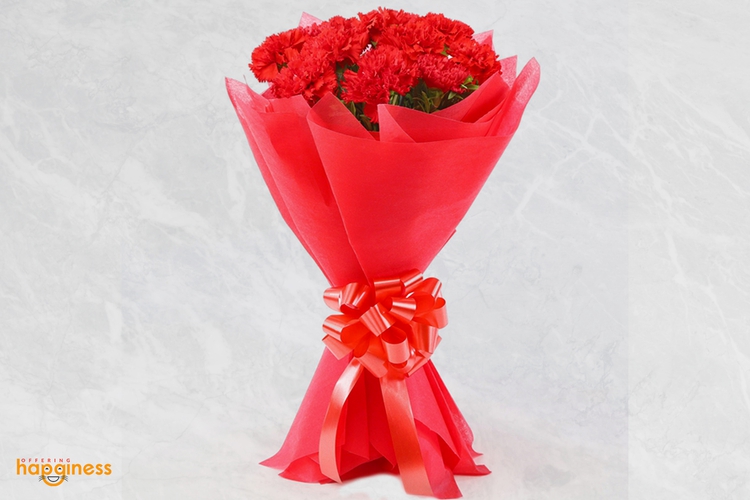 Red Carnation Bunch