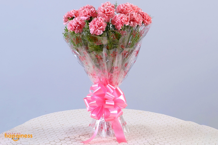 Carnation Joy