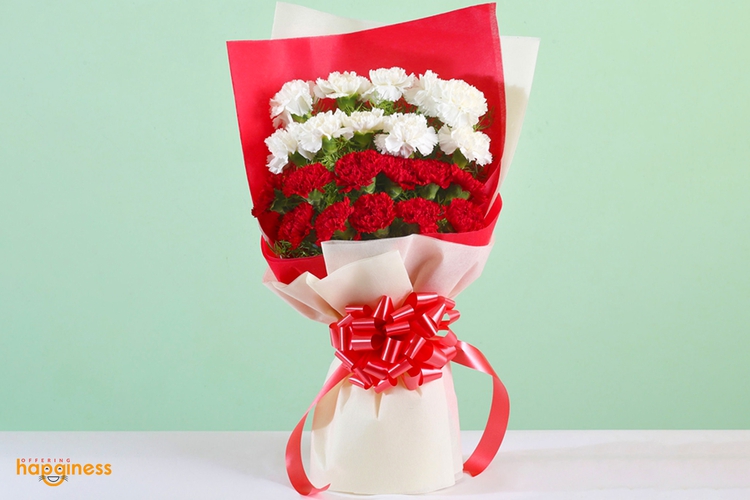 Parrallel Red And White Carnation Bunch
